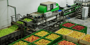 Industry Warns Inheritance Tax Changes Could Impact Food Supply Chains