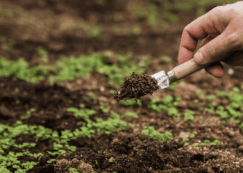 Proba Secures €1 Million to Drive Agri-Food Decarbonisation Through Insetting