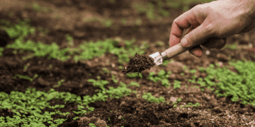 Proba Secures €1 Million to Drive Agri-Food Decarbonisation Through Insetting