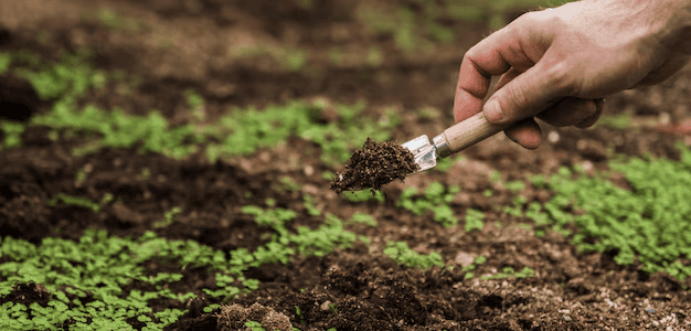 Proba Secures €1 Million to Drive Agri-Food Decarbonisation Through ...