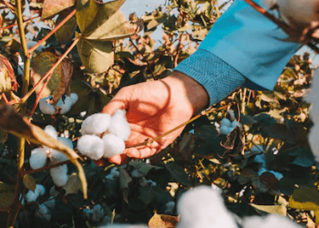 CottonConnect Showcases Sustainable Textile Solutions at Bharat Tex 2025