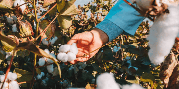 CottonConnect Showcases Sustainable Textile Solutions at Bharat Tex 2025