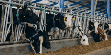 Mars Invests $27 Million to Reduce Dairy Supply Chain Emissions