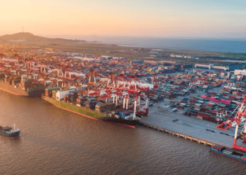 Digitalization Key to Reducing Losses in Pakistan's Logistics Sector