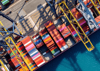 Vietnam’s Imports from New Zealand Rise in January