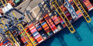 Vietnam’s Imports from New Zealand Rise in January