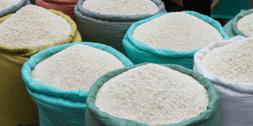 DA to Implement P49 per Kilo Price Cap on Imported Rice Starting March