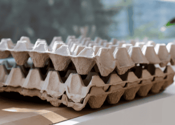 U.S. Invests $1 Billion to Fight Bird Flu and Lower Egg Prices