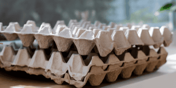 U.S. Invests $1 Billion to Fight Bird Flu and Lower Egg Prices