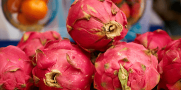 Ecuador Initiates Fruit Exports to Argentina