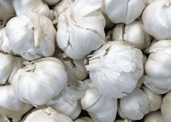 Indonesia Faces Garlic Price Surge Amid Import Delays