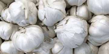 Indonesia Faces Garlic Price Surge Amid Import Delays