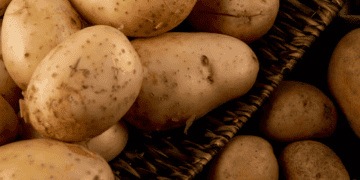 Egyptian Potato Imports to Greece Show Notable Improvement