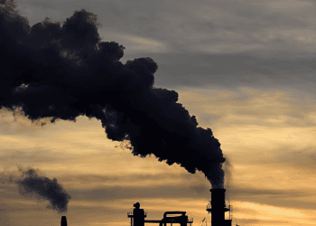 Rise in Carbon Fraud Threatens Global Efforts to Cut Emissions