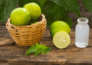 Argentina Sets Up Monitoring System for Lemon Juice Exports to the U.S.