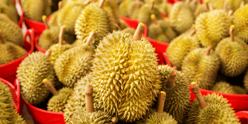 Thai Authorities Respond to Contaminated Durian Exports to China
