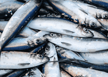 Philippines Seeks to Boost Agricultural and Fisheries Exports to Middle East