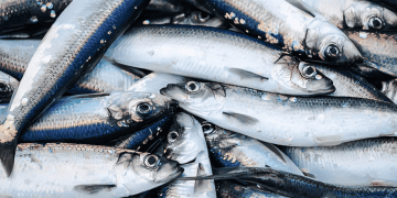 Philippines Seeks to Boost Agricultural and Fisheries Exports to Middle East