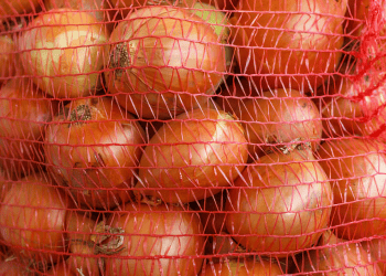 Concerns Rise Among Farmers Over Onion Imports During Harvest Season