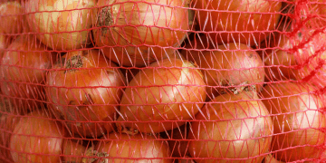 Concerns Rise Among Farmers Over Onion Imports During Harvest Season