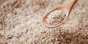 NBI Investigates Suspected Rice Hoarding in Bulacan Warehouse