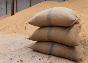 Global Wheat Imports Decline Amid Increased Domestic Production and Economic Challenges