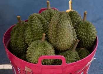 Vietnam's Fruit and Vegetable Imports Hit $2.4 Billion in 2024