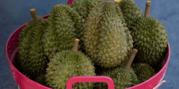 Vietnam's Fruit and Vegetable Imports Hit $2.4 Billion in 2024