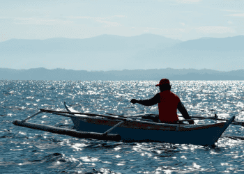 Philippine Tamban's Inclusion in Global Codex to Boost Fish Export Market