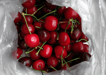 Chile's Fruit Export Industry Faces New Challenges After Over 90 Years of Global Trade