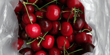 Chile's Fruit Export Industry Faces New Challenges After Over 90 Years of Global Trade