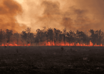 Colorado Proposes Legislation to Enhance Homeowners' Understanding and Mitigation of Wildfire Risks