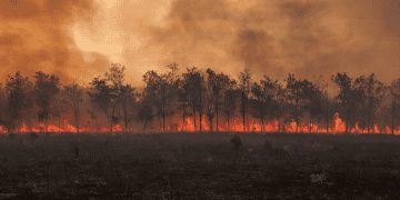 Colorado Proposes Legislation to Enhance Homeowners' Understanding and Mitigation of Wildfire Risks