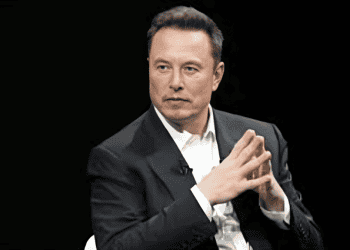 Elon Musk's Fraud Prevention Efforts Raise Questions About Government Changes