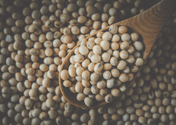 EU Looks at New Import Rules That May Impact U.S. Soybeans
