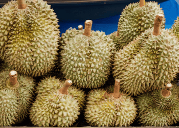 Philippines Ships First Frozen Durian Exports to China