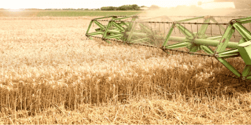 U.S. Agricultural Exports Show Week-to-Week Gains in Key Commodities