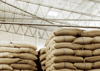 India Eases Restrictions on Broken Rice Exports to Manage Stockpiles