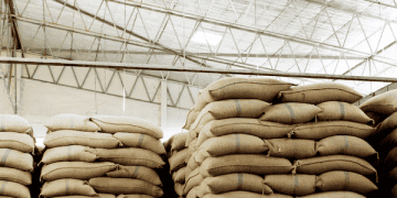 India Eases Restrictions on Broken Rice Exports to Manage Stockpiles