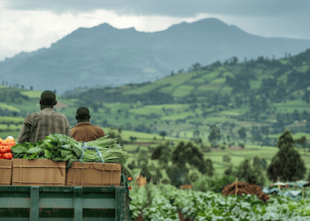 Japan Ranks Among Top Three Markets for Taiwan’s Agricultural Exports