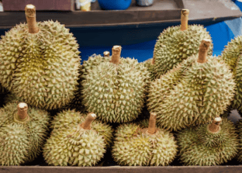 Vietnam’s Fruit and Vegetable Exports Decline for Third Consecutive Month