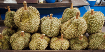 Vietnam’s Fruit and Vegetable Exports Decline for Third Consecutive Month