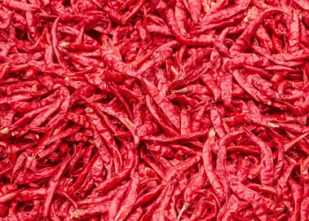 Sikkim's GI-Tagged Dalle Chilly Exported to Solomon Islands with APEDA Support