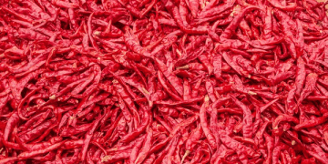 Sikkim's GI-Tagged Dalle Chilly Exported to Solomon Islands with APEDA Support