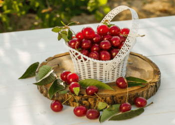 New Zealand Cherry Exports Reach Record High of 5,000 Tonnes