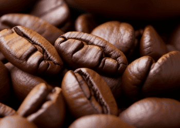 Vietnam's-Coffee-Exports-Show-Strong-Growth,-Aim-for-$6-Billion-Milestone