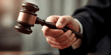 Elon Musk's Role in Government Efficiency Department Faces Legal and Ethical Scrutiny