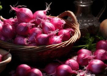 Imported Onions Arrive to Stabilize Philippine Market
