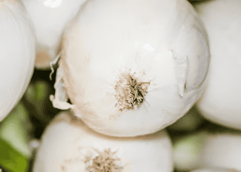 Government Initiates Legal Action Over Unauthorized Onion Imports