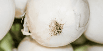 Government Initiates Legal Action Over Unauthorized Onion Imports